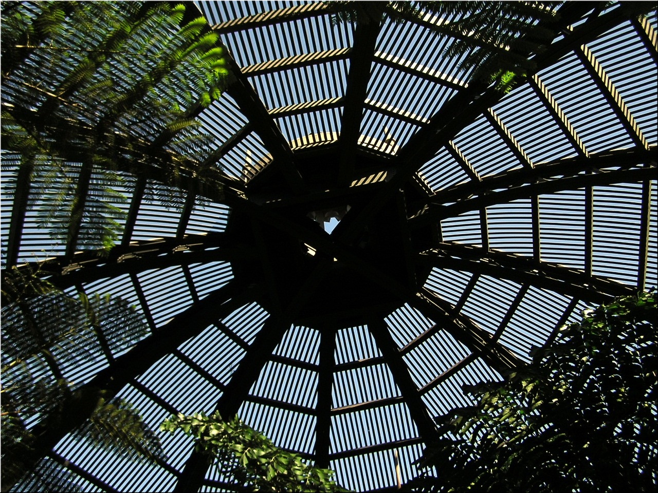 11-28-2004BalboaPark (16a).JPG