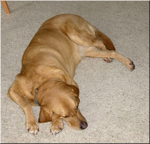 1-22-2005PoulsboHome (79).JPG