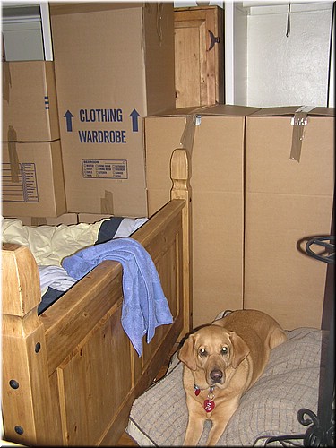 12-28-2004LoadingInCoronadoRain.jpg
