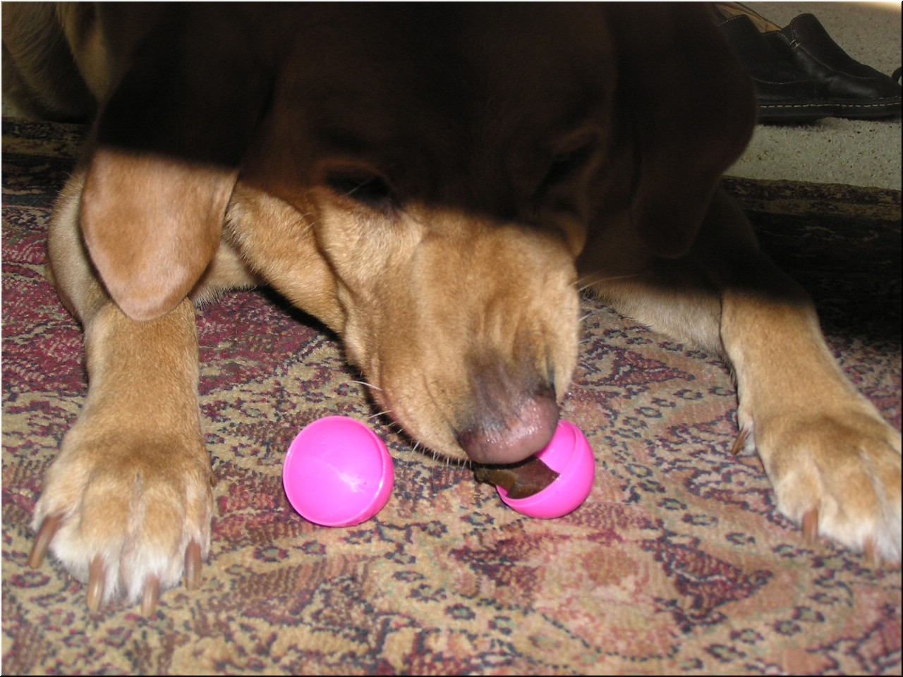 3-27-2005Easter (20).JPG