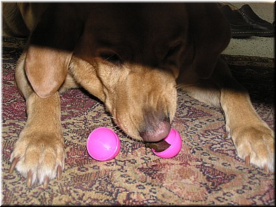 3-27-2005Easter (20).JPG