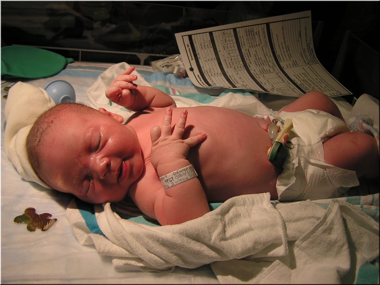 1-27-2005TwoHoursOld (3).JPG