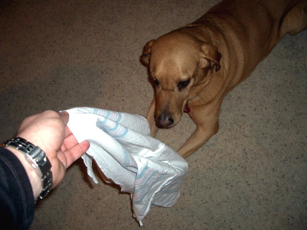 1-28-2005 644 pm.jpg