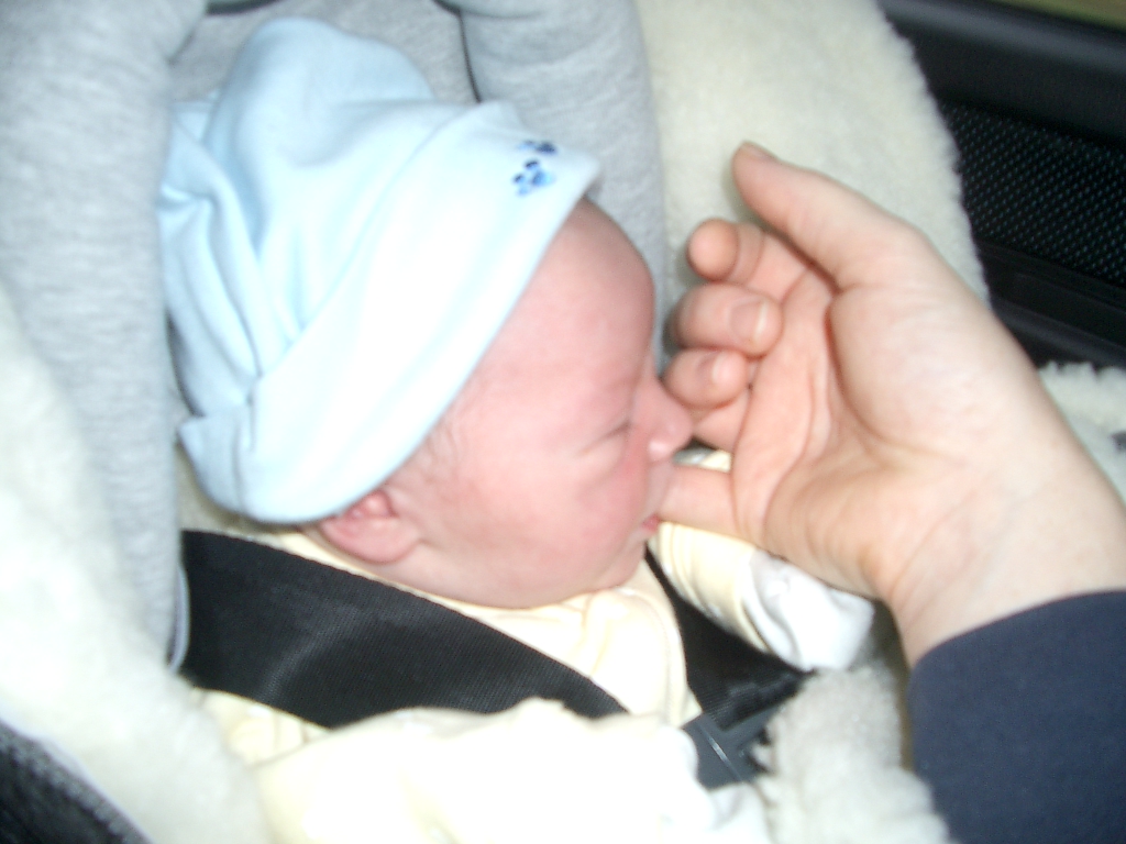 1-29-2005 303pm.jpg