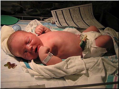 1-27-2005TwoHoursOld (2).JPG