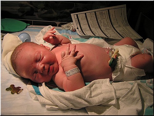 1-27-2005TwoHoursOld (3).JPG
