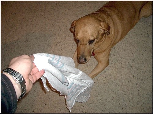 1-28-2005 644 pm.jpg
