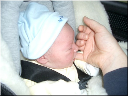 1-29-2005 303pm.jpg