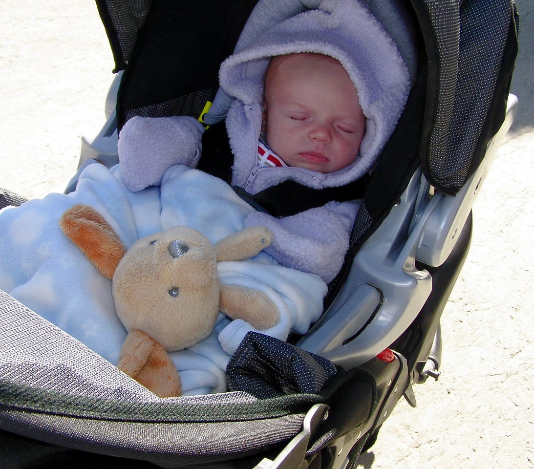 2-23-2005SammyJogStroller.jpg