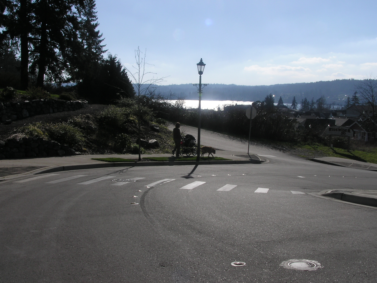 2-9-2005TakingAWalk (2).JPG