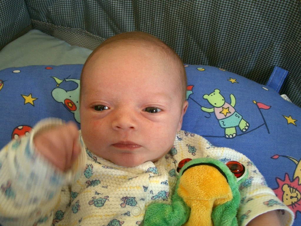 IMGP2273.JPG