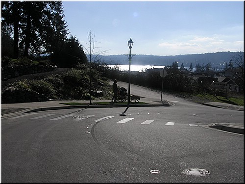2-9-2005TakingAWalk (2).JPG