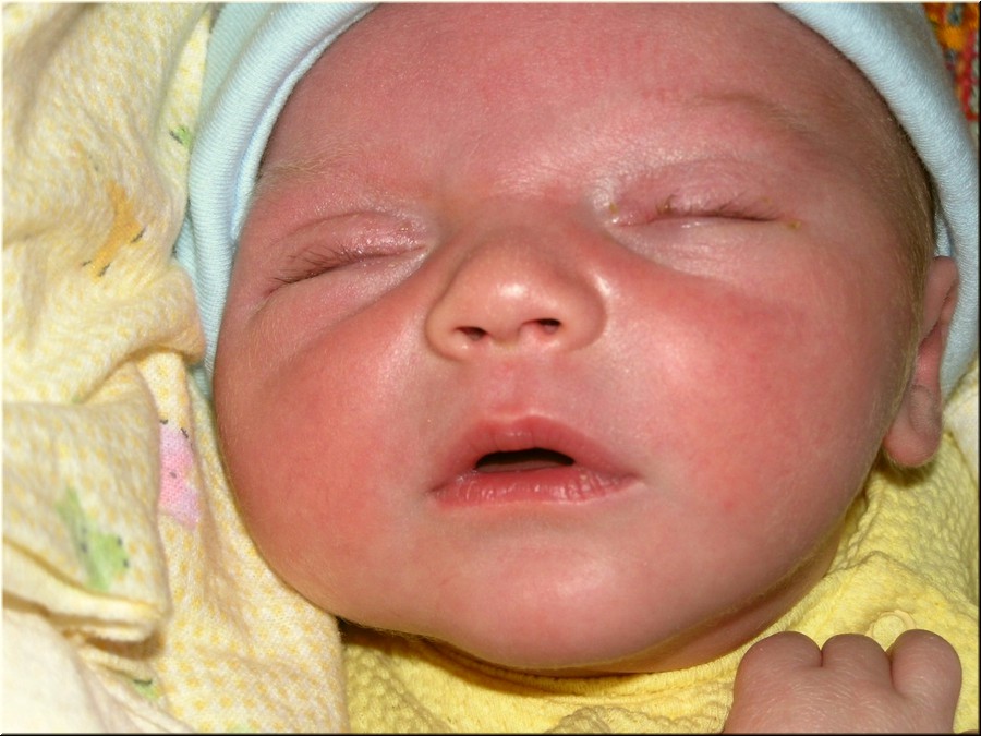 1-30-2005 8pm 3 days old (6).JPG