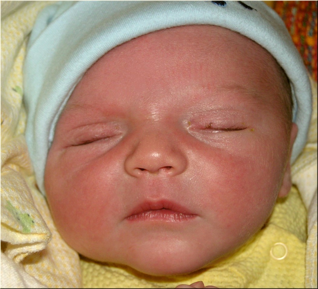 1-30-2005 8pm 3 days old (7).JPG