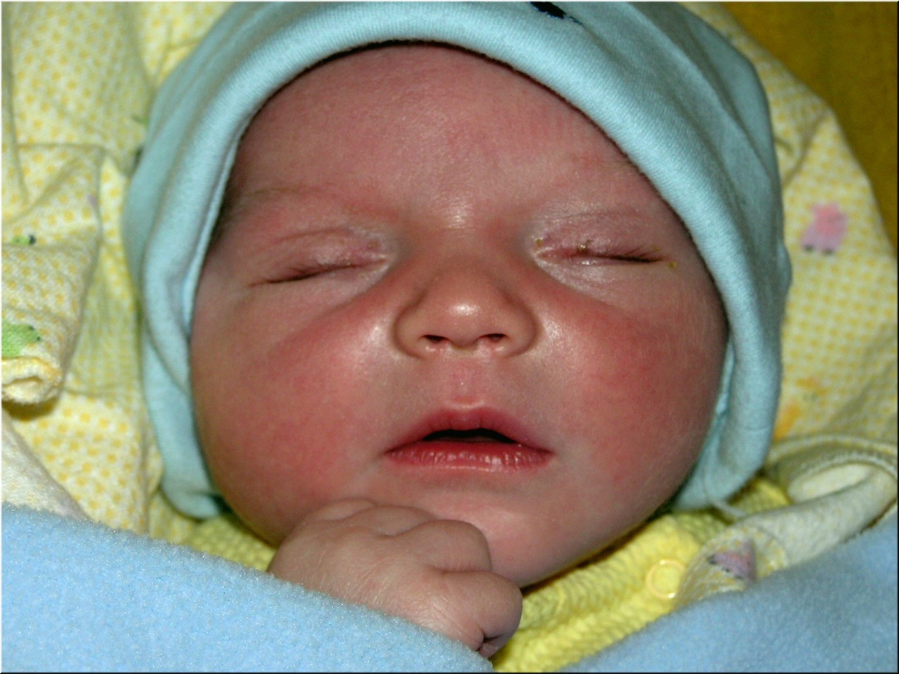 1-30-2005 8pm 3 days old.jpg