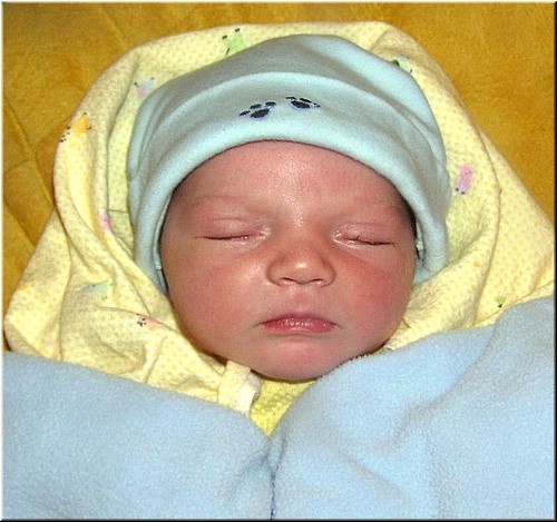 1-30-2005 8pm 3 days old (1).JPG