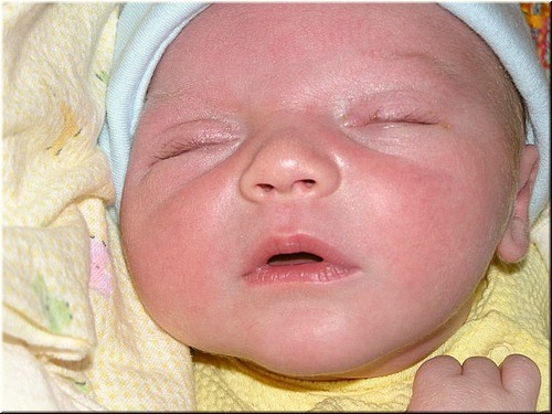 1-30-2005 8pm 3 days old (6).JPG
