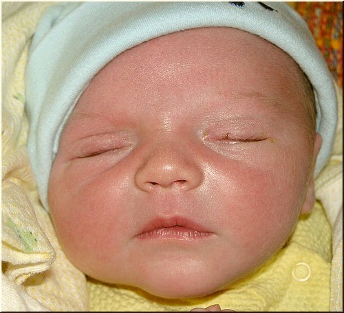 1-30-2005 8pm 3 days old (7).JPG