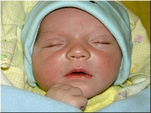 1-30-2005 8pm 3 days old.jpg