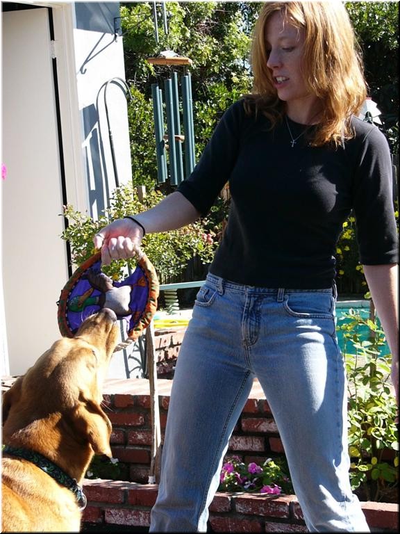 12-25-03DoggiePlayTime (11) (Large).JPG