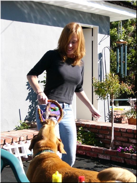 12-25-03DoggiePlayTime (12) (Large).JPG