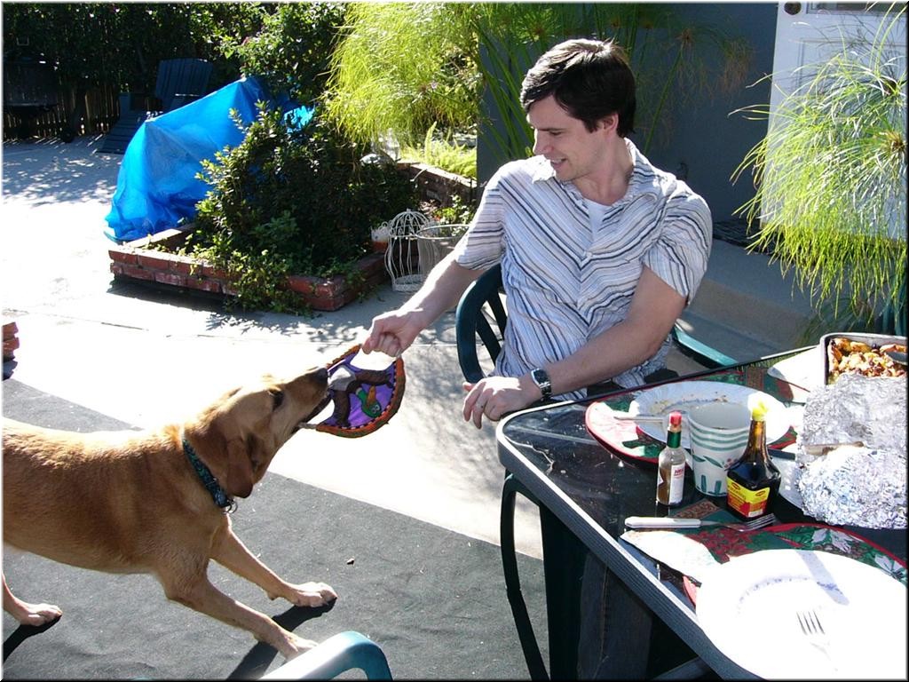 12-25-03DoggiePlayTime (19) (Large).JPG