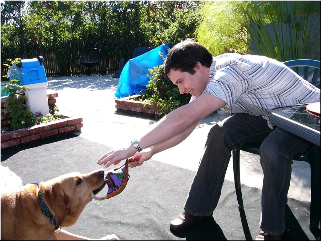 12-25-03DoggiePlayTime (21) (Large).JPG