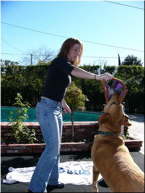 12-25-03DoggiePlayTime (24) (Large).JPG