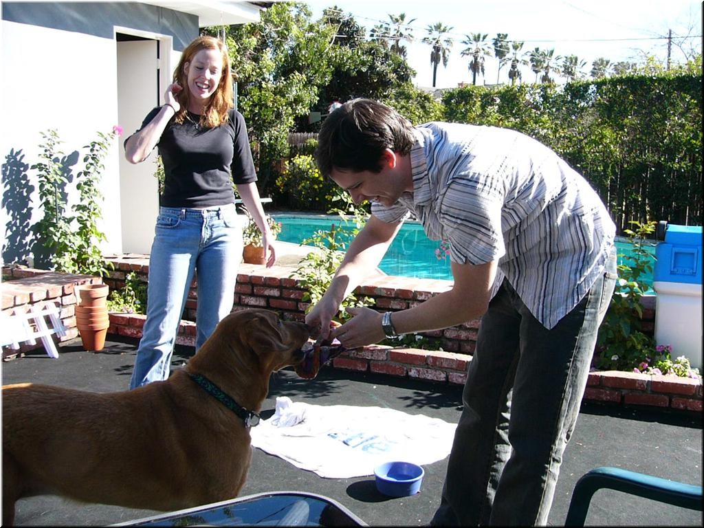 12-25-03DoggiePlayTime (Large).jpg