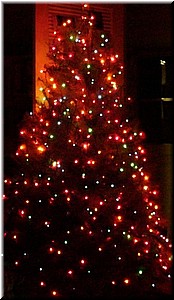 12-03Oli'sTree (Large).JPG
