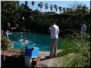 12-25-03DoggiePlayTime (1) (Large).JPG