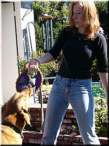 12-25-03DoggiePlayTime (11) (Large).JPG