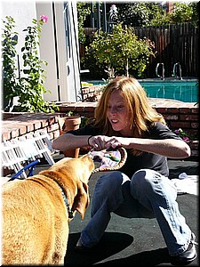 12-25-03DoggiePlayTime (14) (Large).JPG