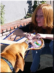 12-25-03DoggiePlayTime (16) (Large).JPG
