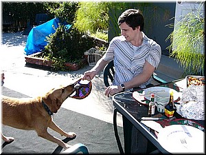 12-25-03DoggiePlayTime (19) (Large).JPG