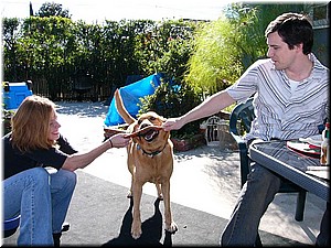 12-25-03DoggiePlayTime (20) (Large).JPG