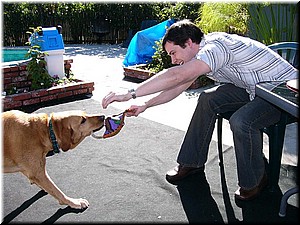 12-25-03DoggiePlayTime (22) (Large).JPG
