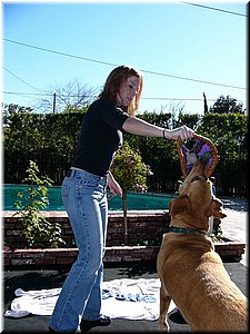 12-25-03DoggiePlayTime (24) (Large).JPG