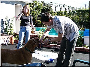 12-25-03DoggiePlayTime (Large).jpg