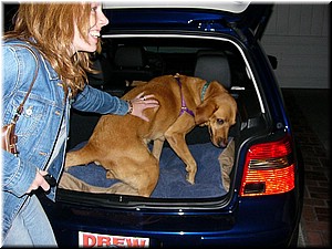 12-26-03It's been Fun (3) (Large).JPG
